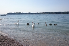 Spiaggia Rivette